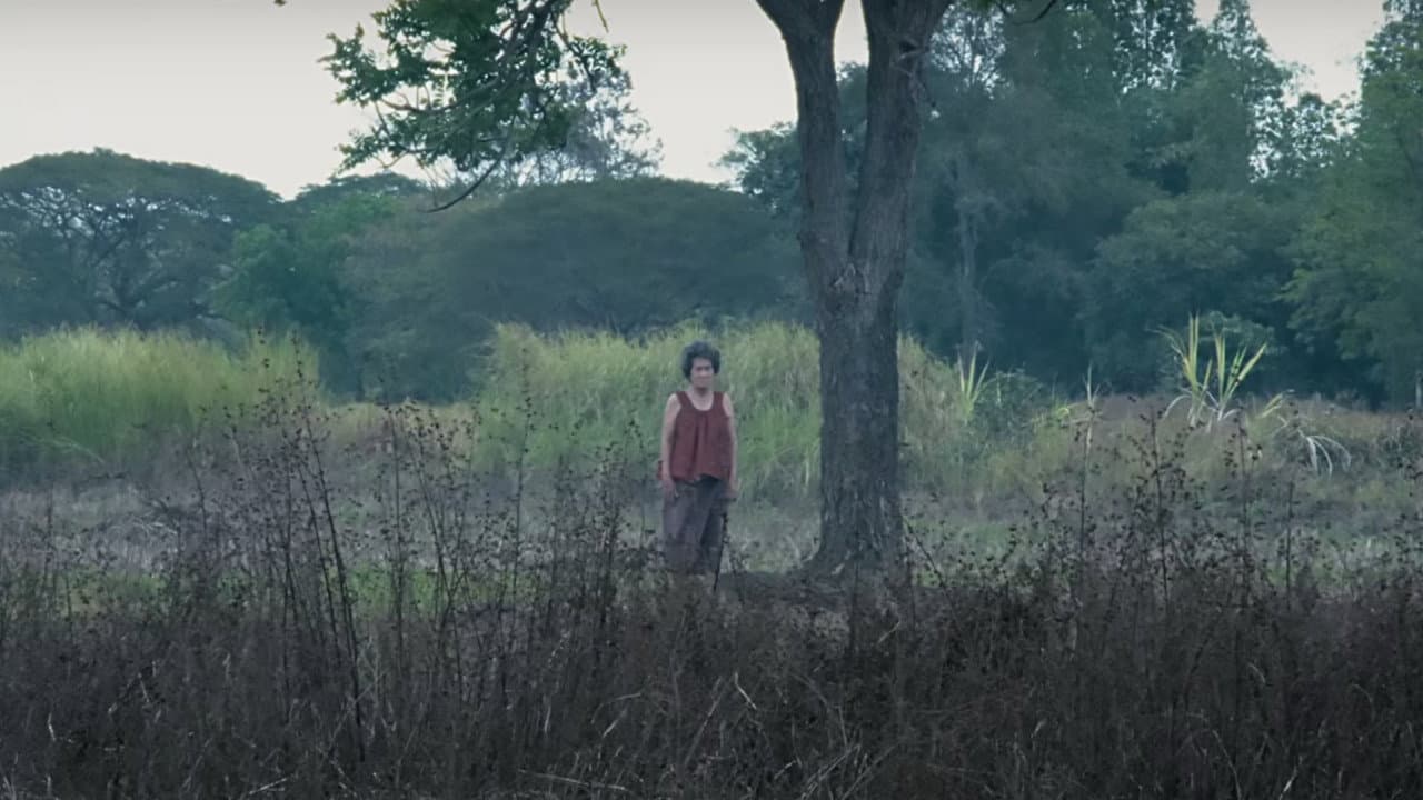 ปอบแม่ใหญ่แดง