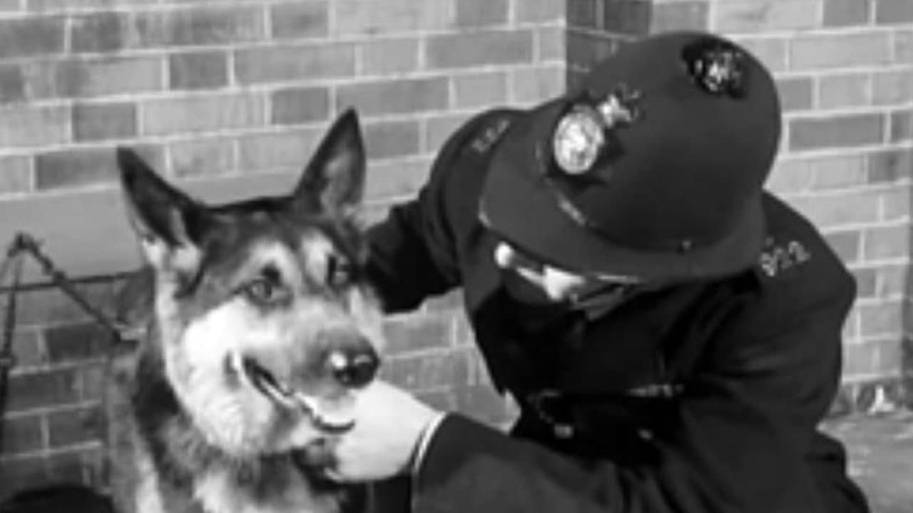 Police Dog