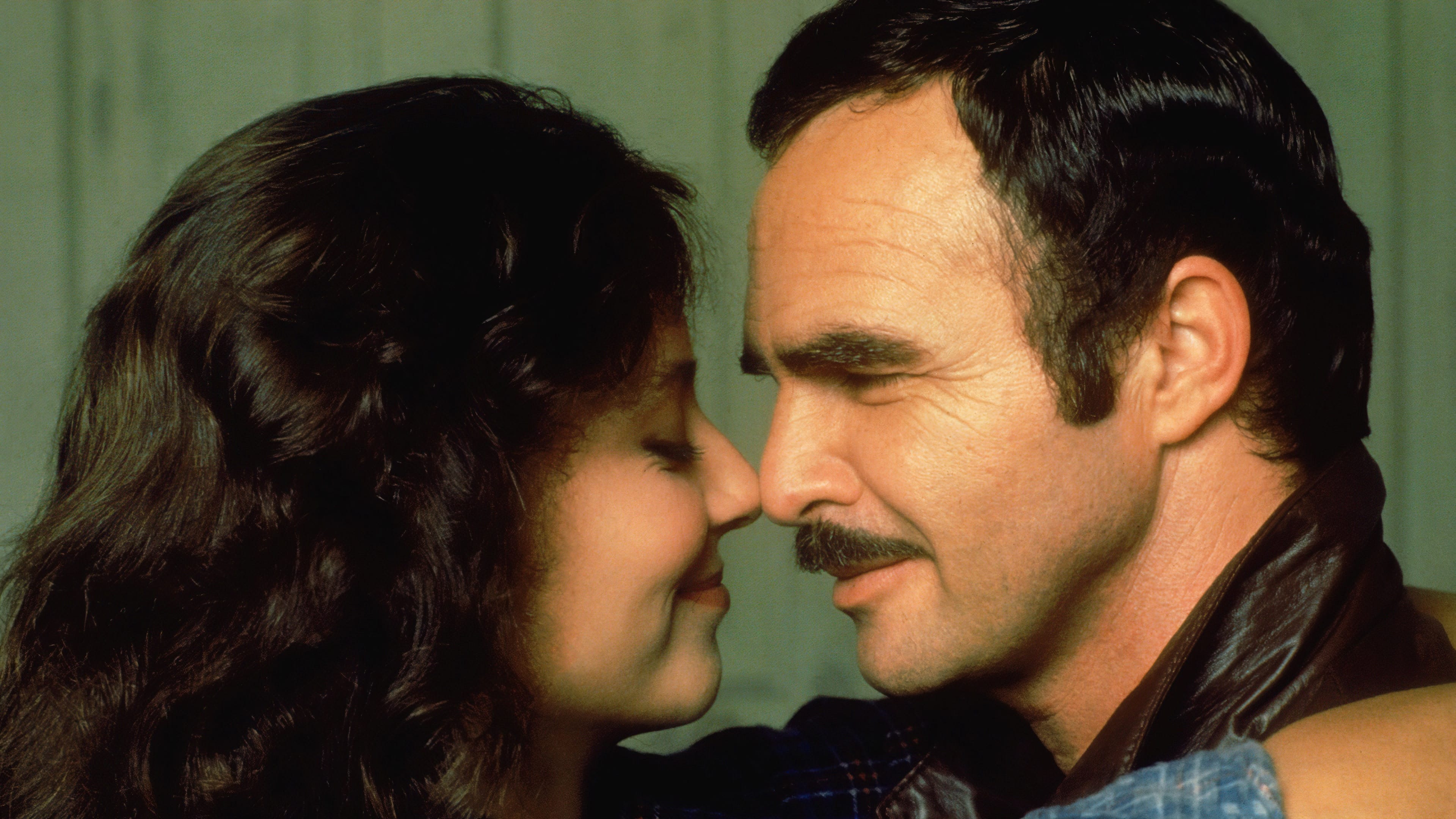 Sharky und seine Profis