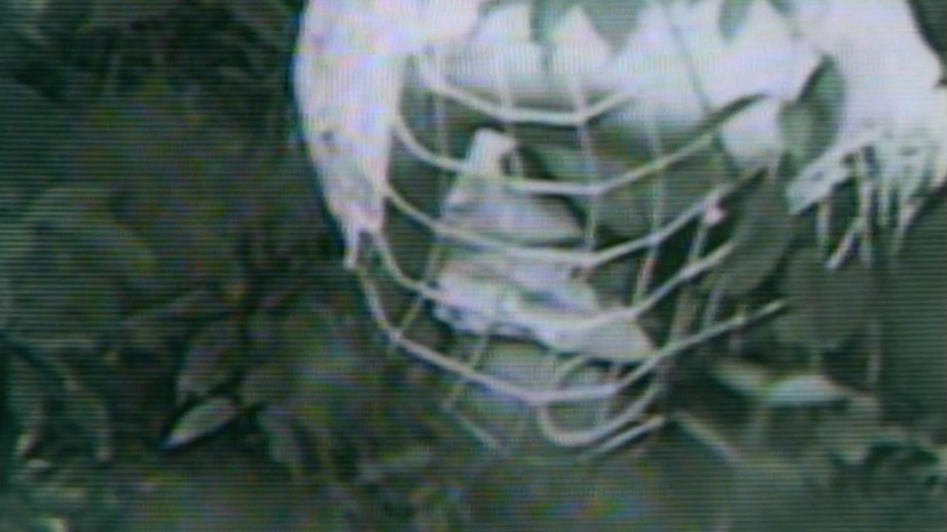 Guinea Pig 1: Devil's Experiment