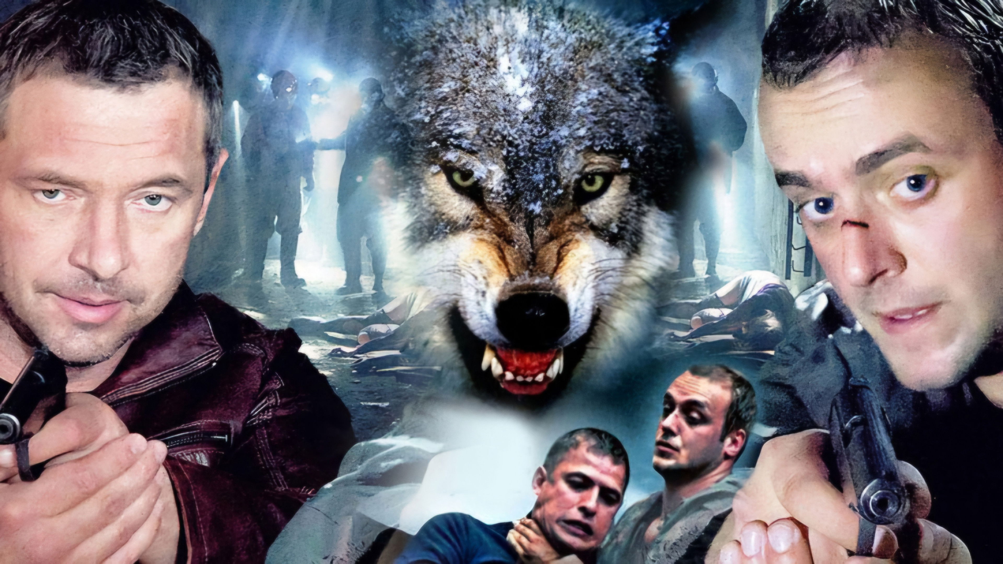 Одинокий волк