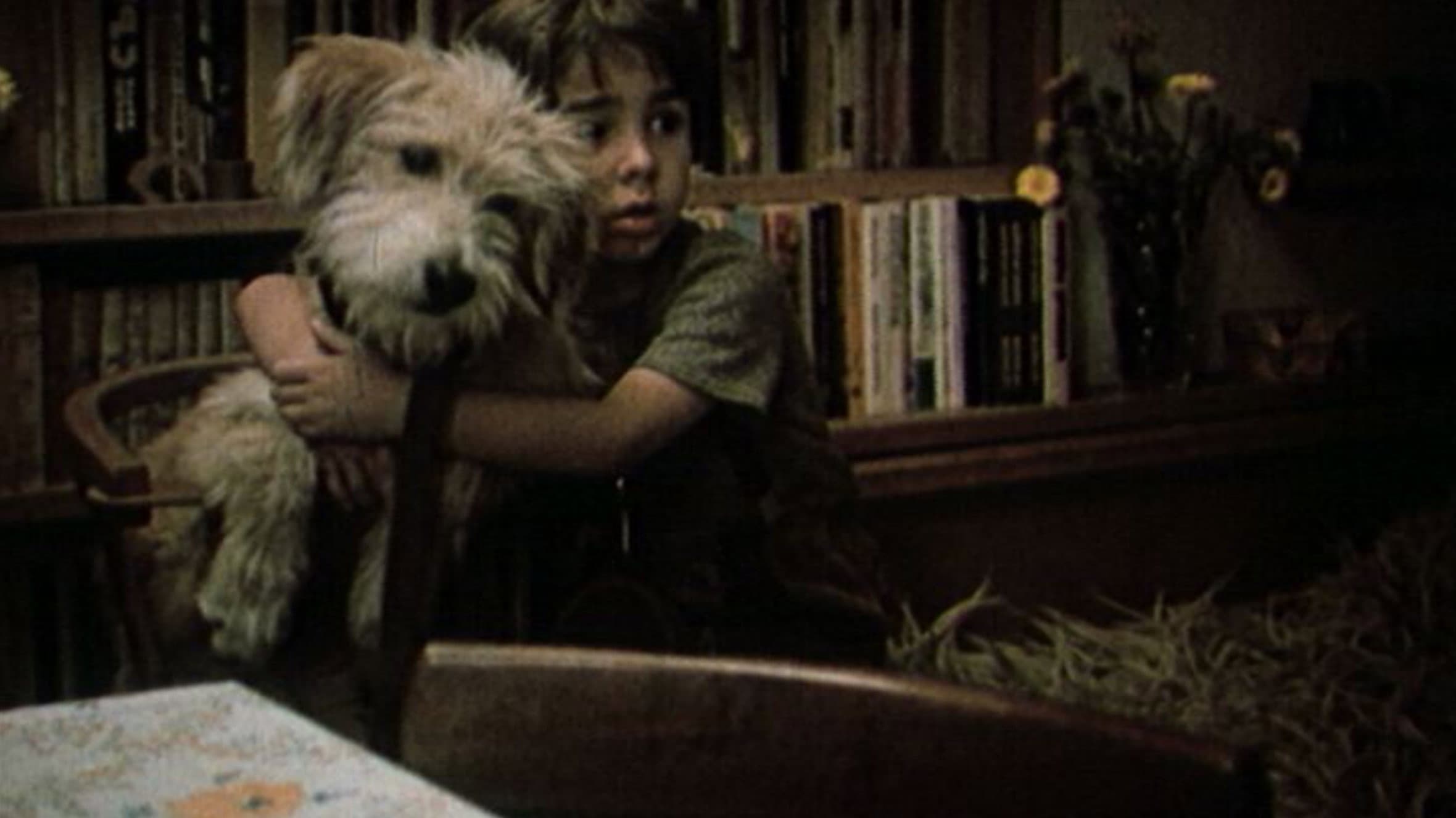 Куче в чекмедже