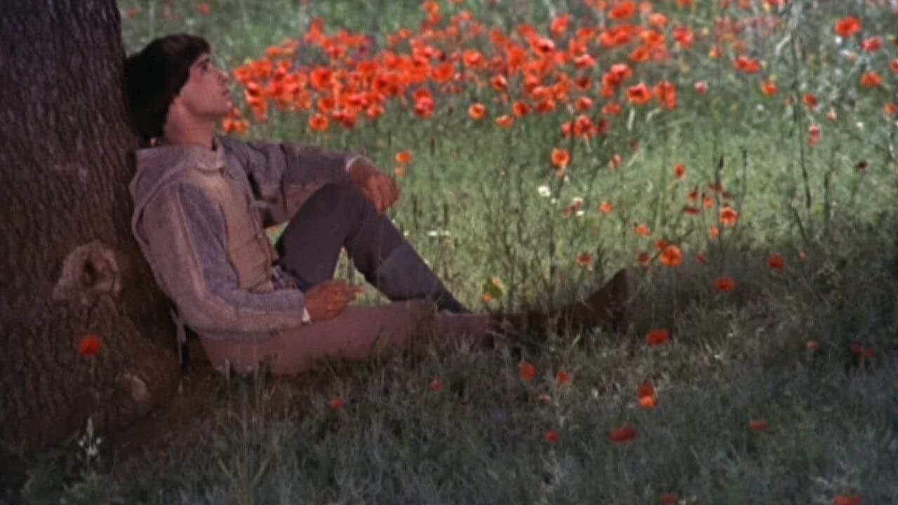 Bruder Sonne, Schwester Mond