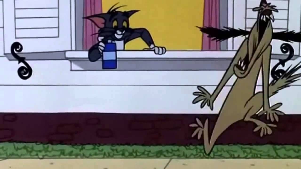 Toms schlaflose Nächte