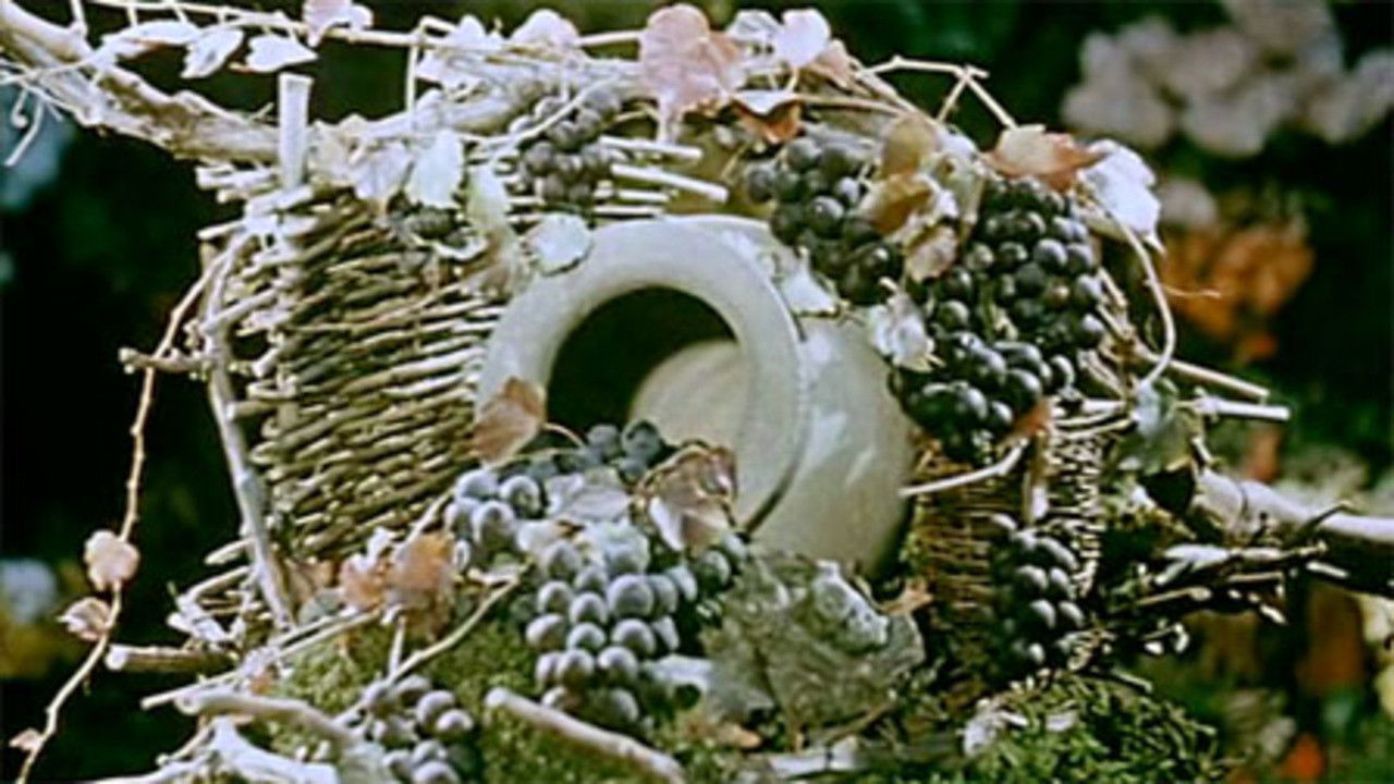 საპოვნელა