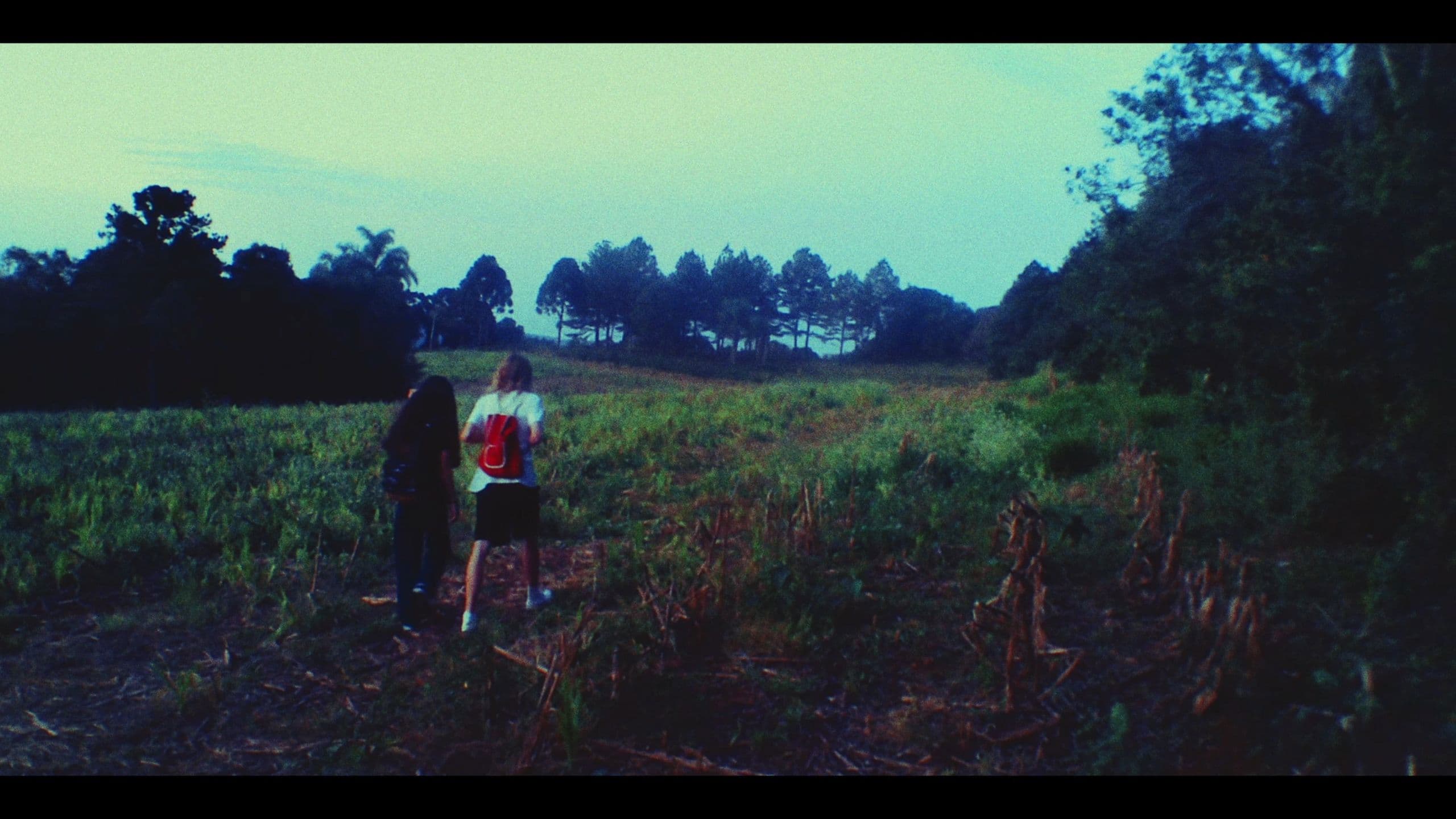 O Gnomo das Notícias Falsas