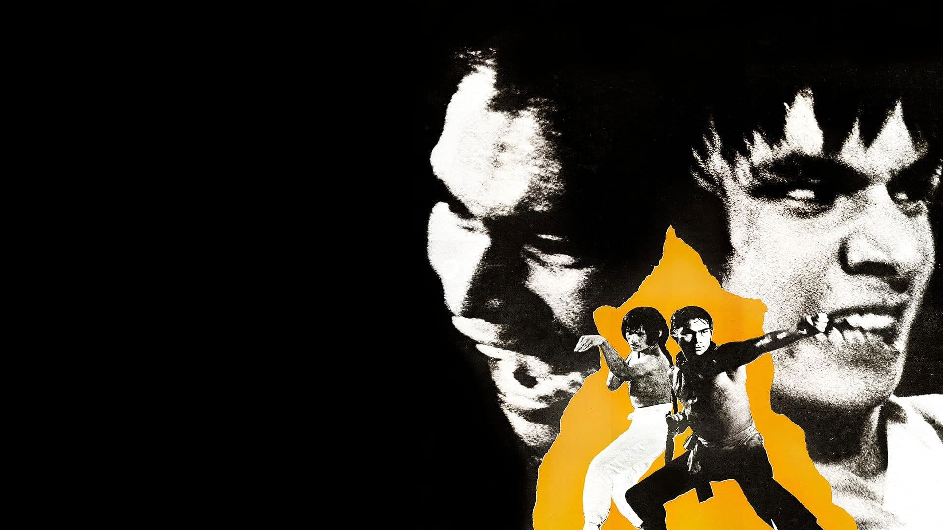 Die tödlichen Fäuste der Shaolin