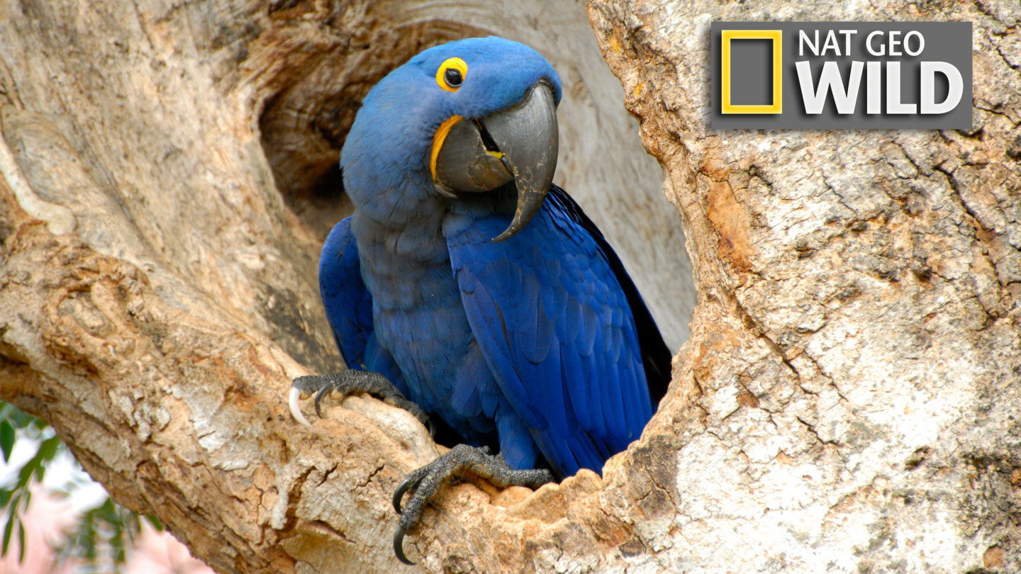 Naturparadiese in Lateinamerika