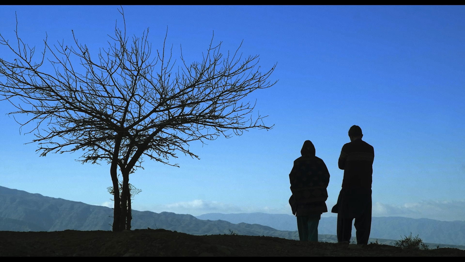 شکاف بر نور