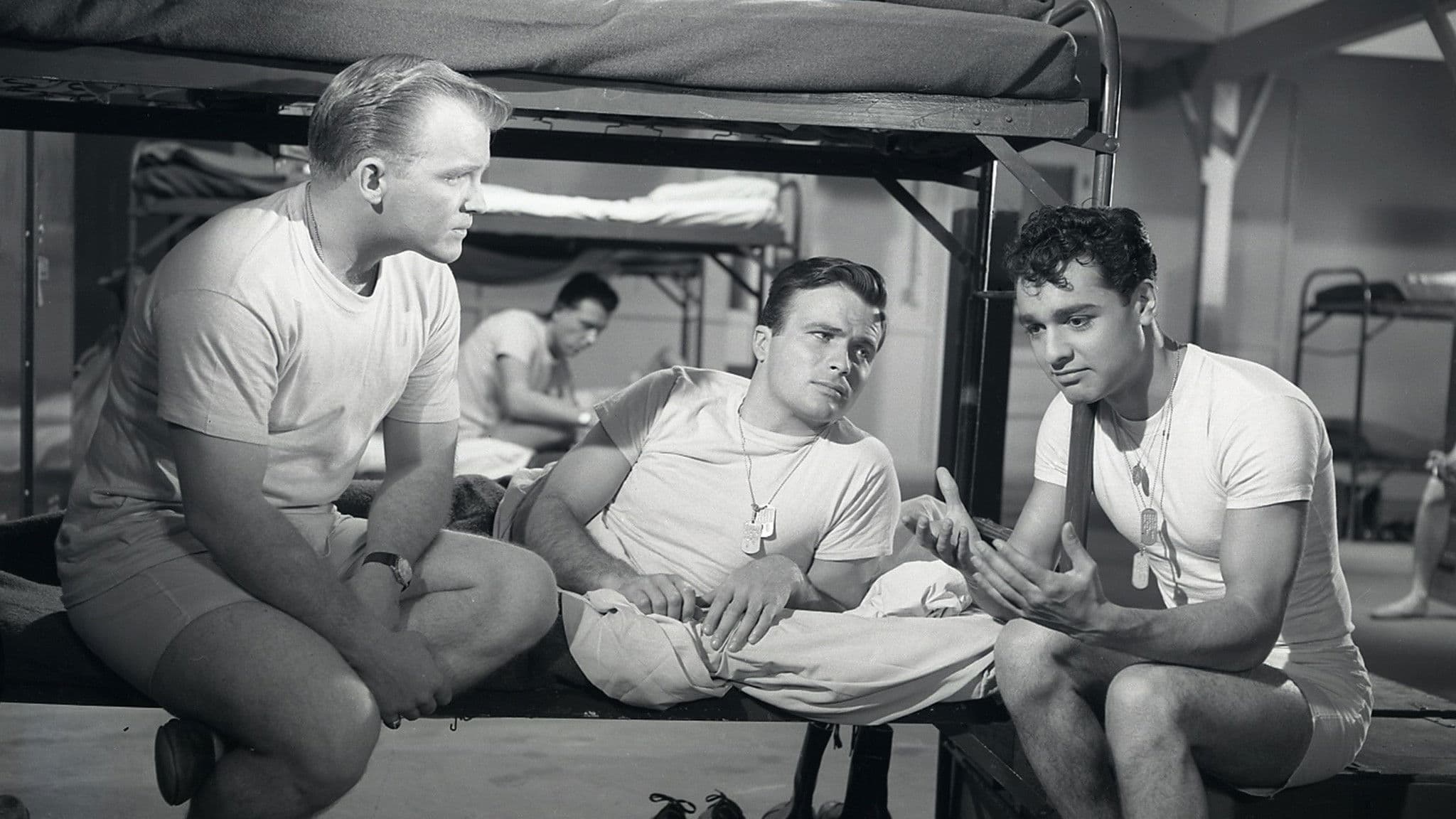 Das gibt's nur in Amerika