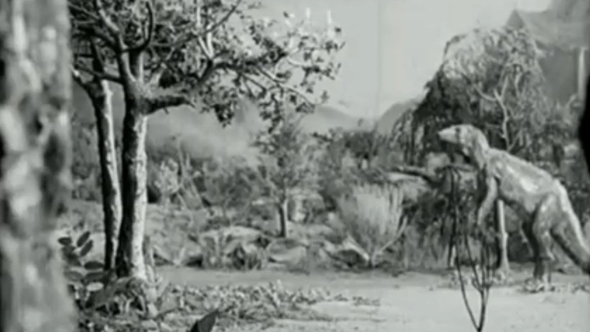 Along the Moonbeam Trail