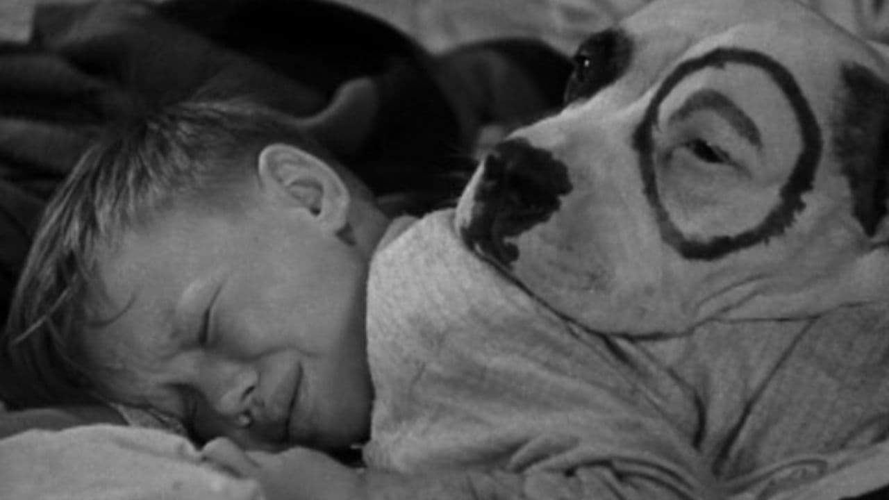 Es geschehen noch Wunder