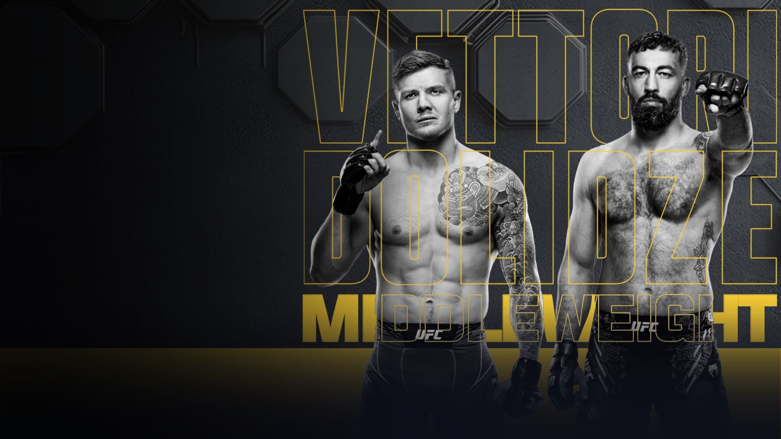 UFC Fight Night 254: Vettori vs. Dolidze 2