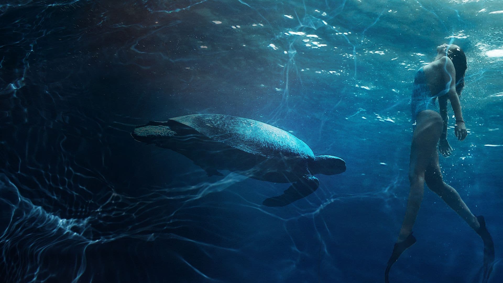 The Great Barrier Reef - Ultimate Freedive