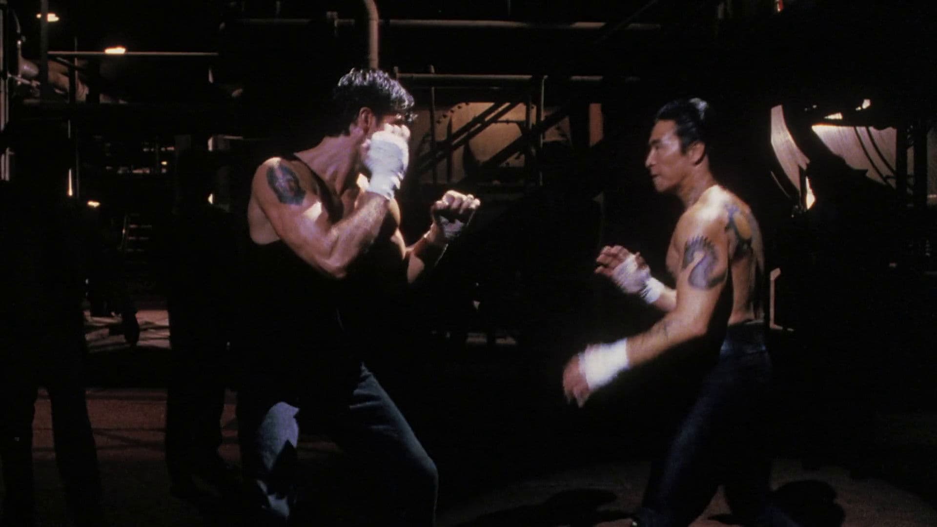 Kickboxer USA - Die Nacht des Fighters