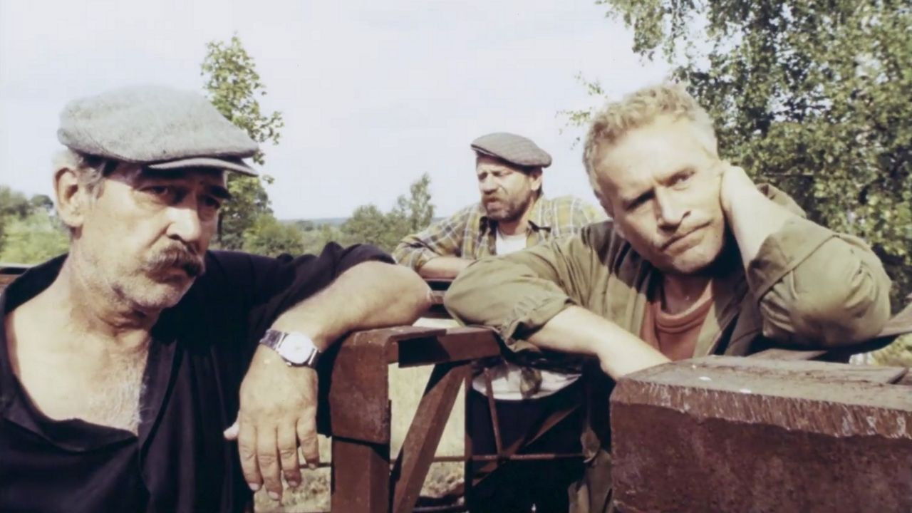 Черный аист