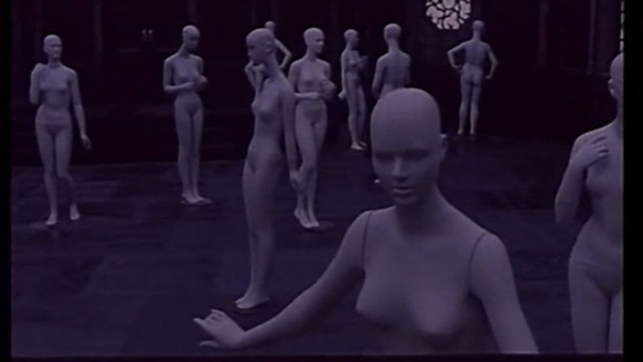 一个死者对生者的访问