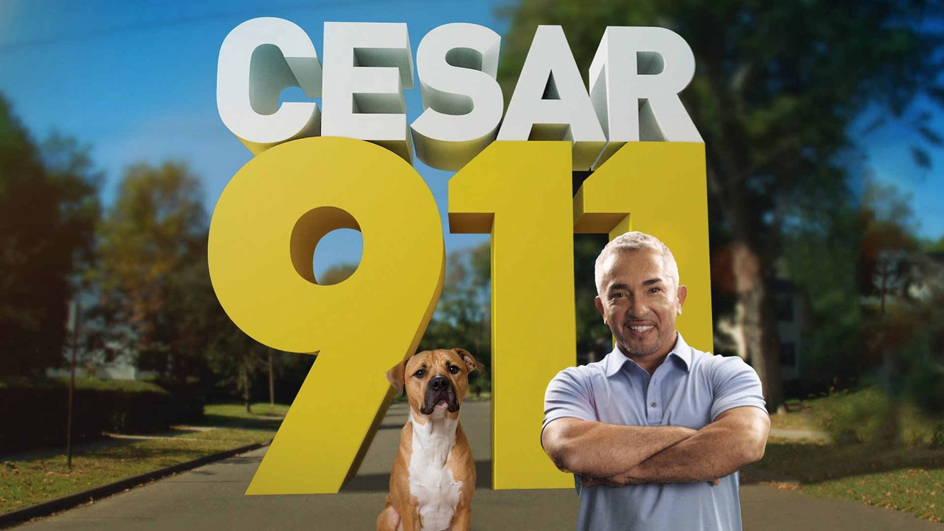 Notruf Hund - Einsatz für Cesar