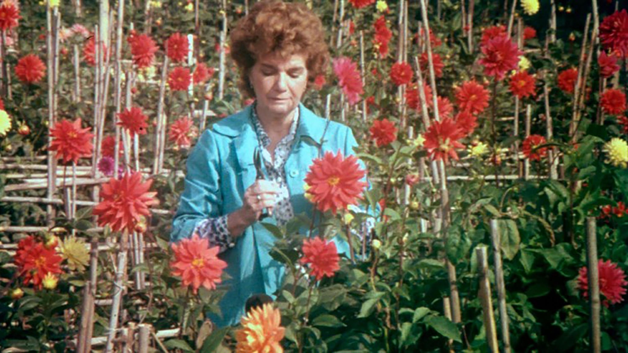 Visita ou Memórias e Confissões