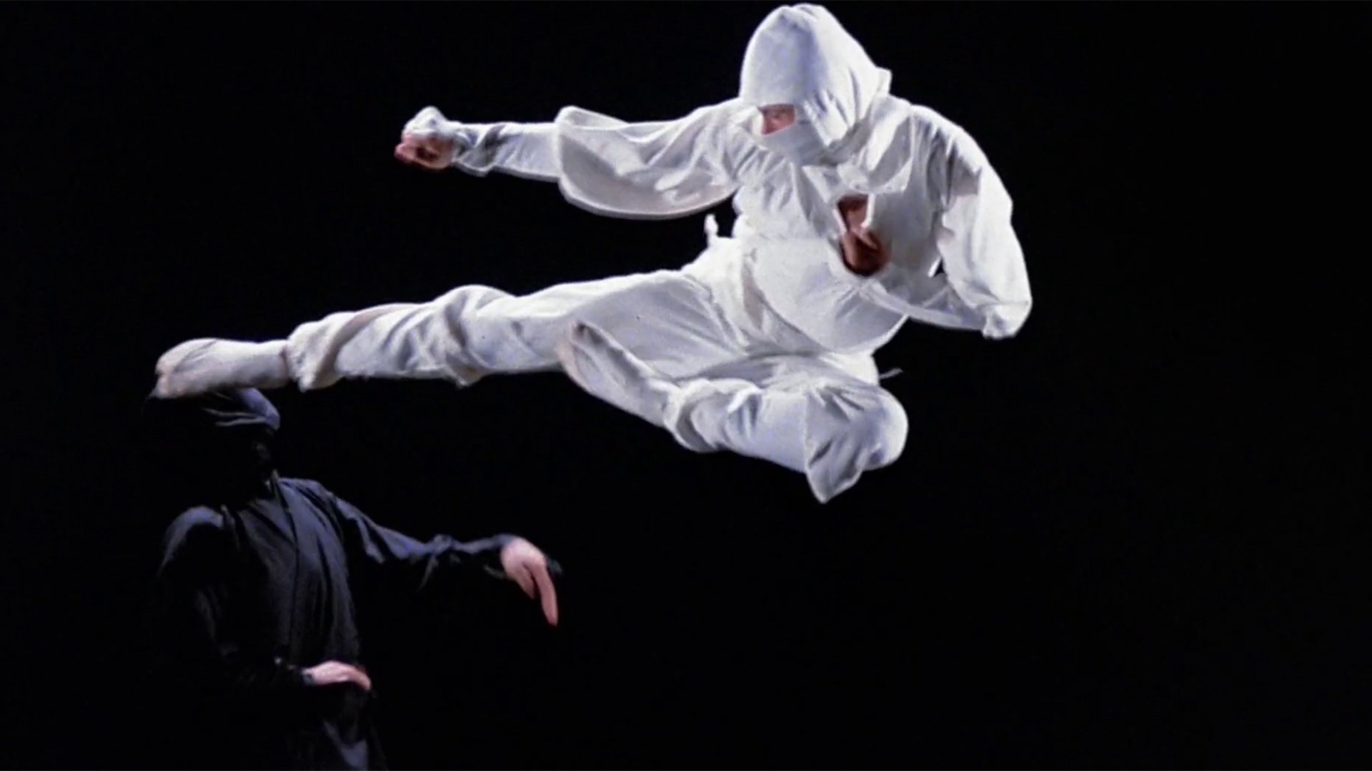 Ninja - Die Killermaschine