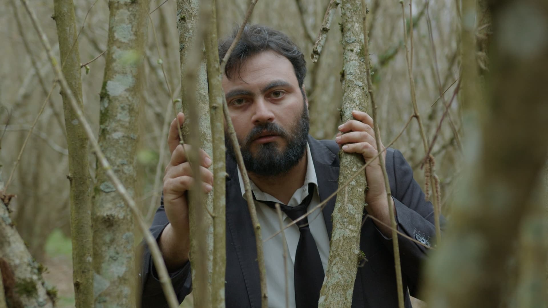 Manifesto d'Amore, Requiem for a Friend