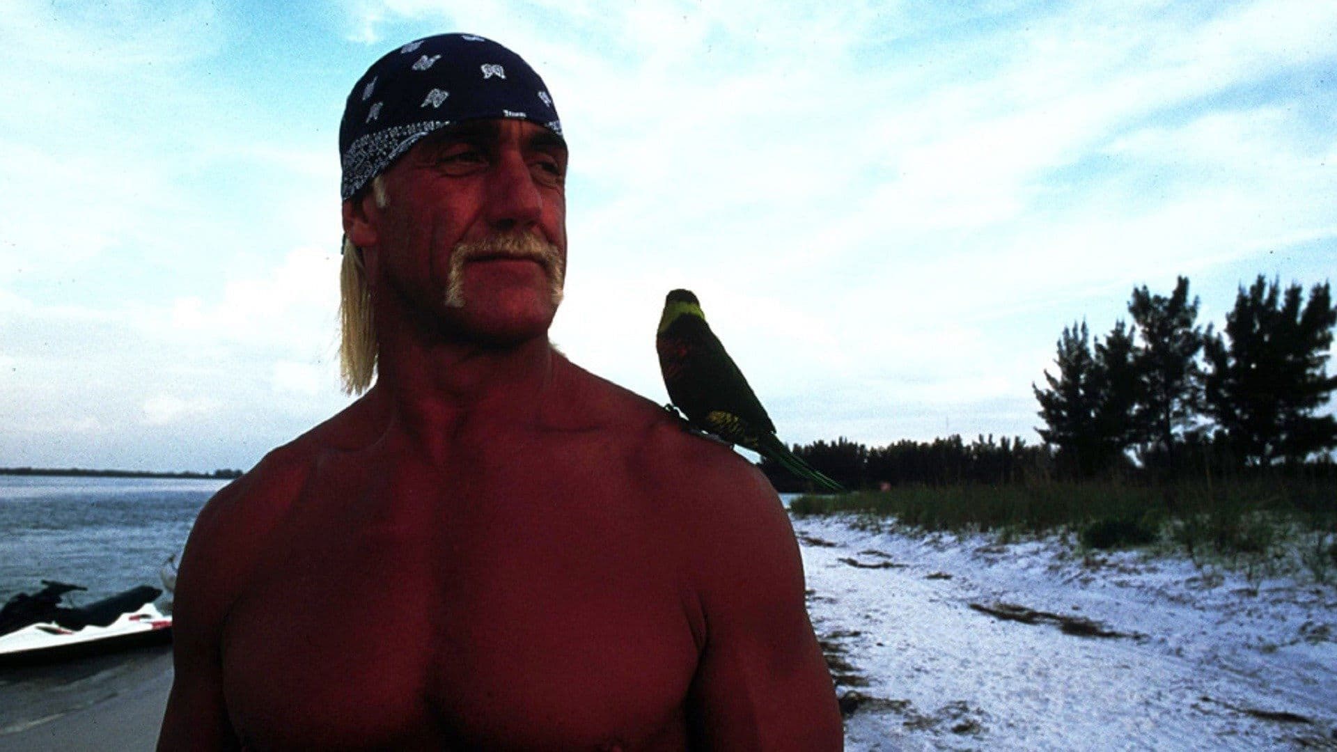 McCinsey's Island - Ein tierisches Duo