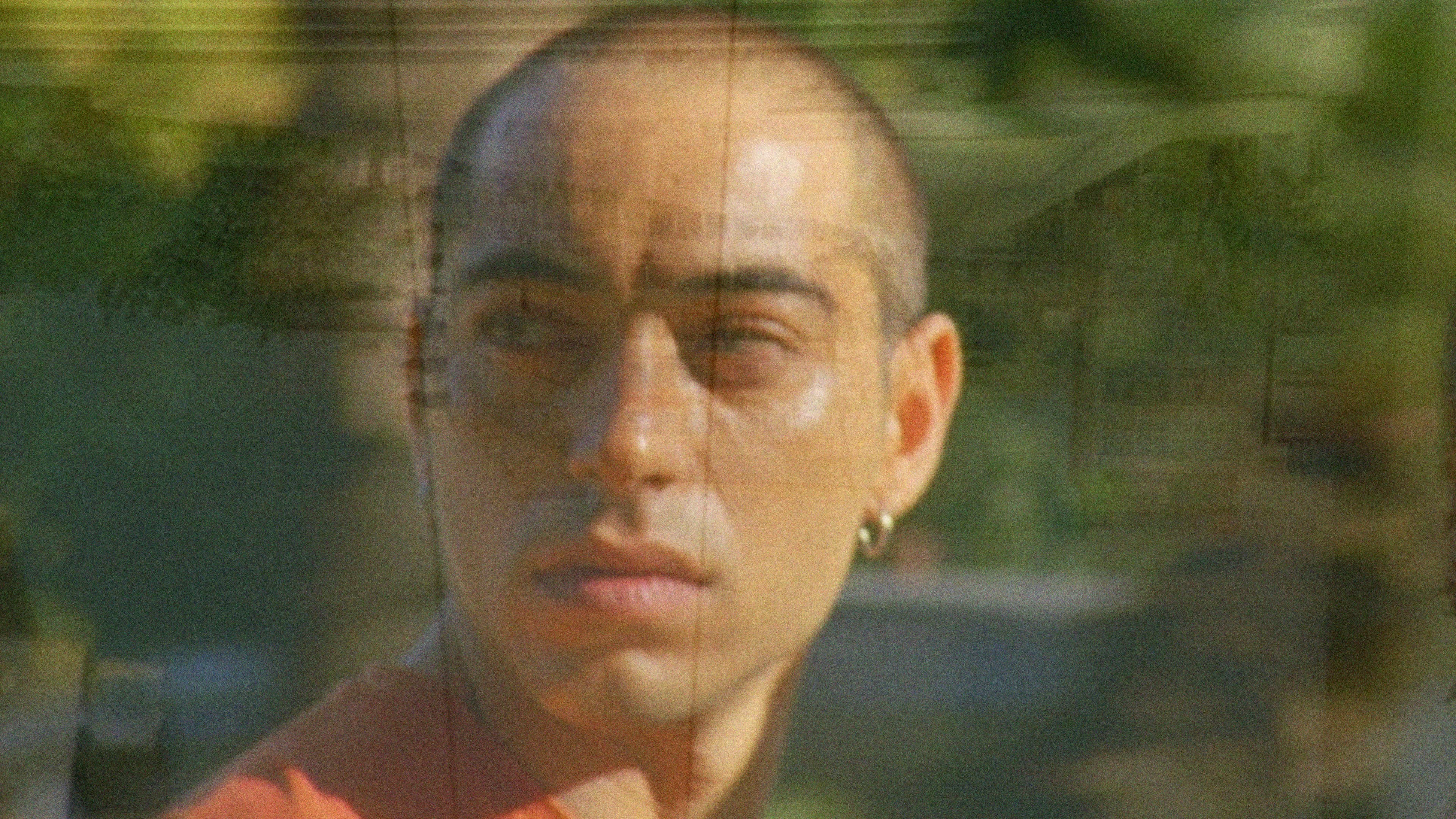 Τα Περιστέρια Αρρωσταίνουν όταν η Πόλη Φλέγεται