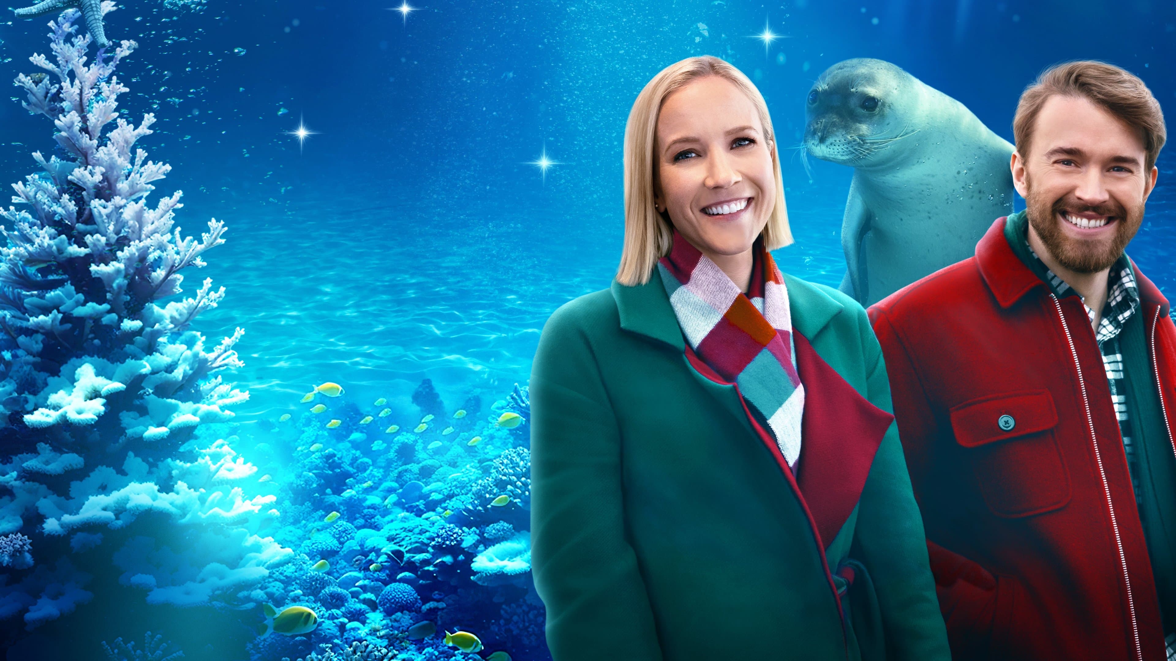 Seaside Christmas – Ein Seehund zum Fest