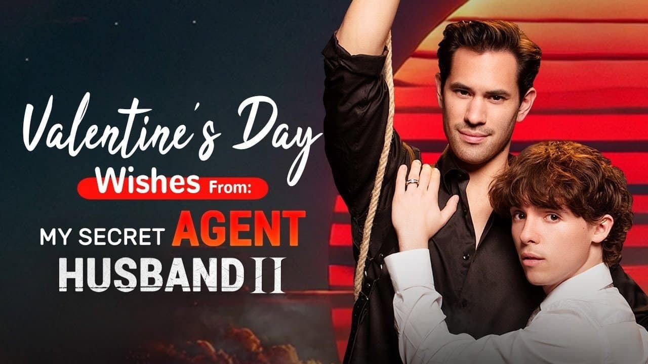 My Secret Agent Husband