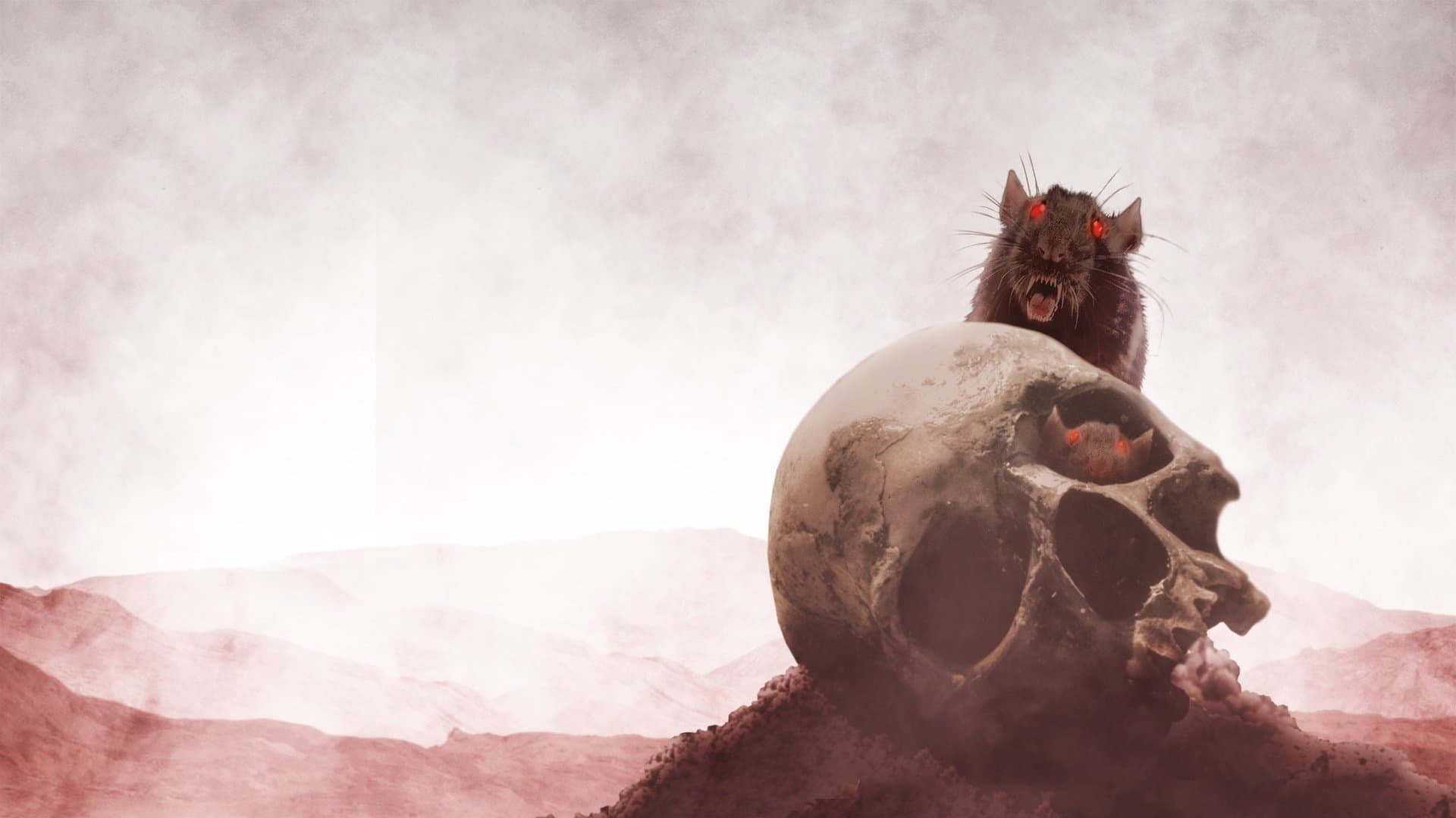 Stephen King’s Nachtschicht