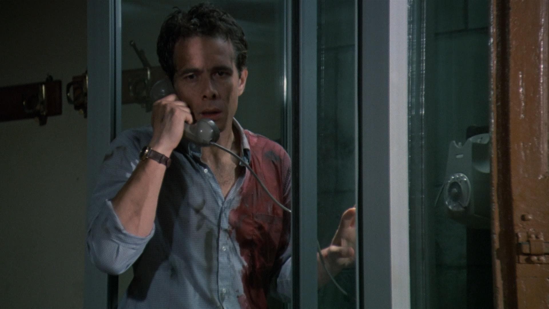 Zeder - Denn Tote kehren wieder