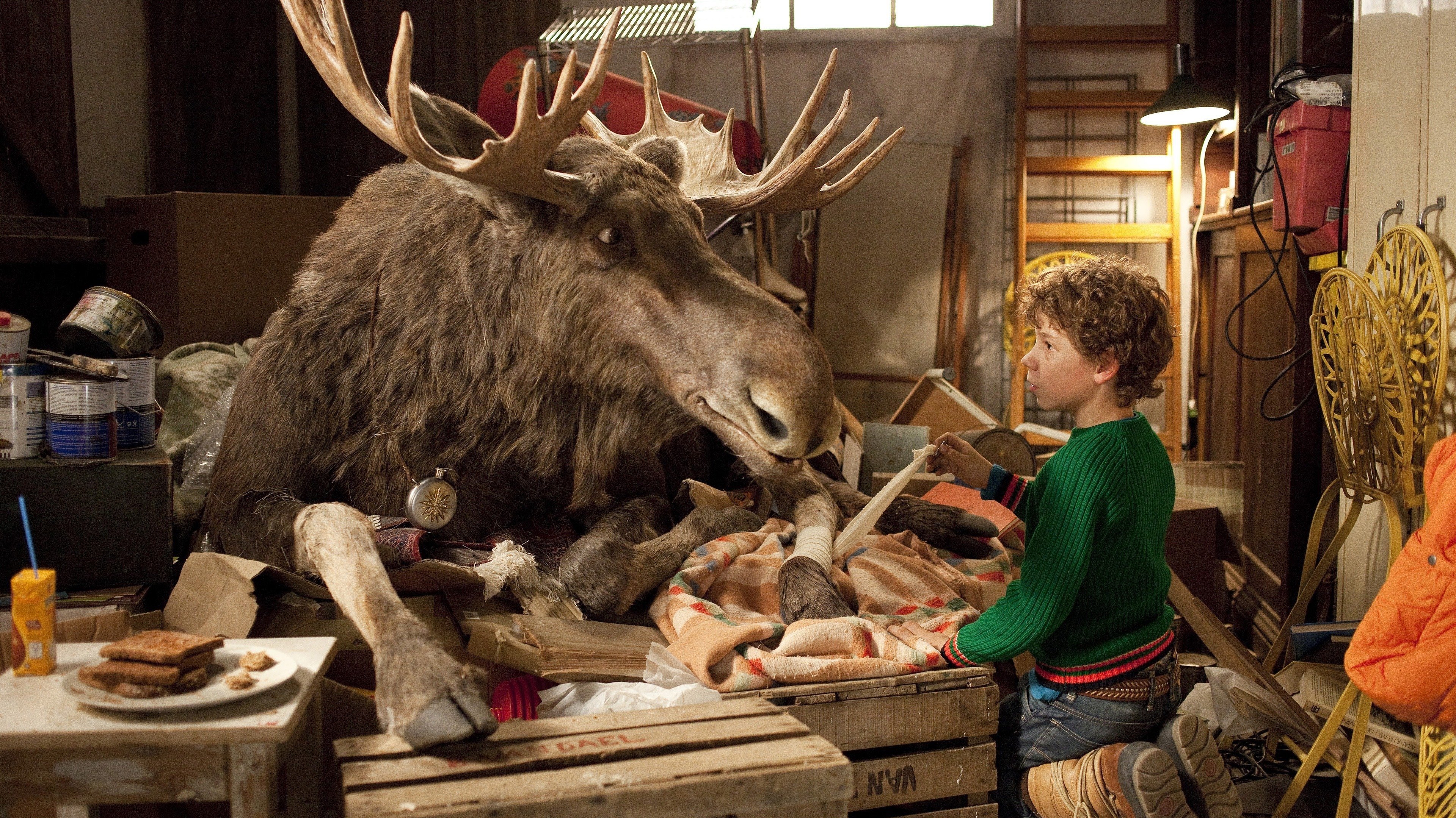 Mitten in der Winternacht