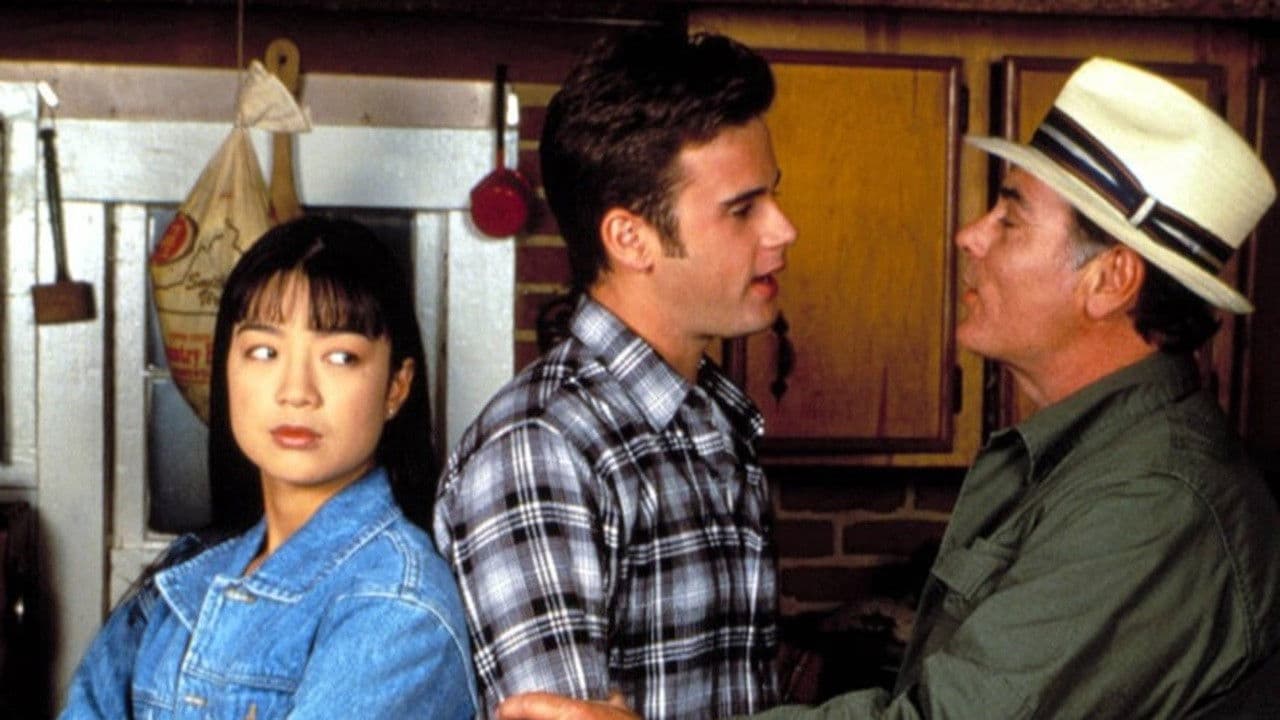 Der Sohn der untergehenden Sonne - Im Teufelskreis des Ku-Klux-Klan