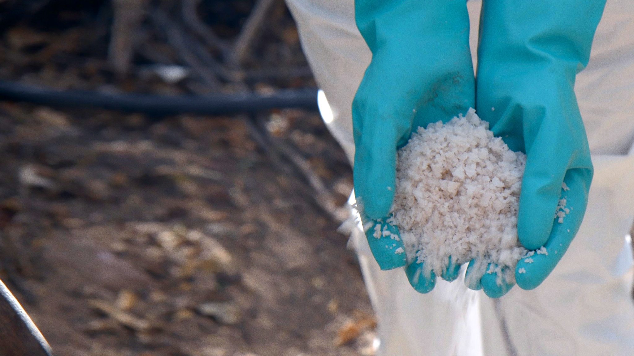 Narco Wars - Der Kampf gegen Drogen