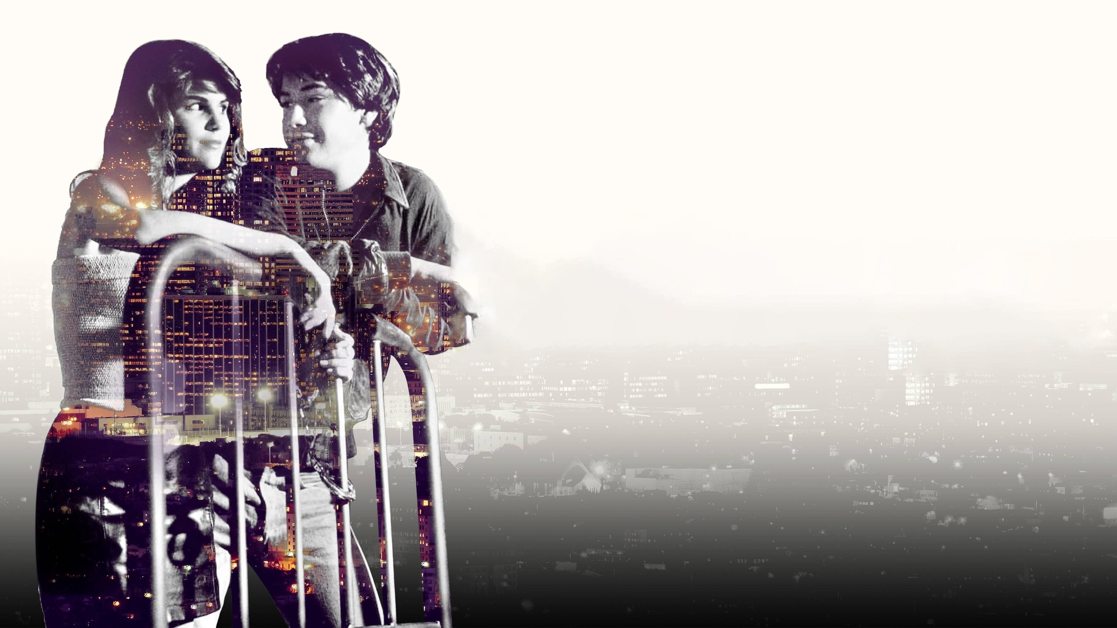 Eine verrückte Reise durch die Nacht