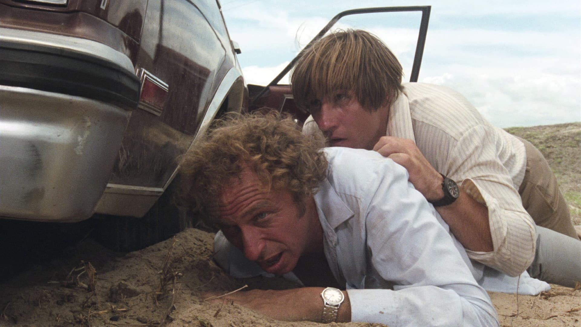 Der Hornochse und sein Zugpferd