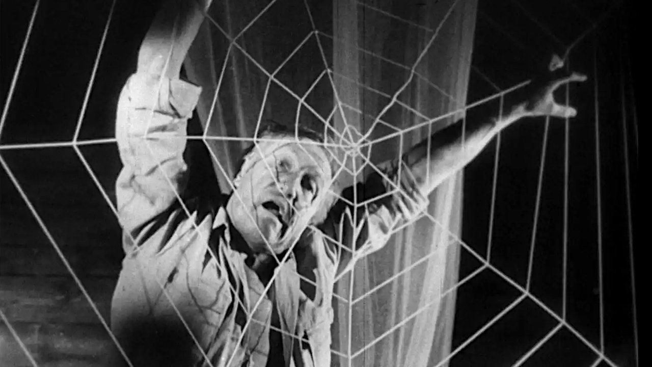 Ein Toter hing im Netz