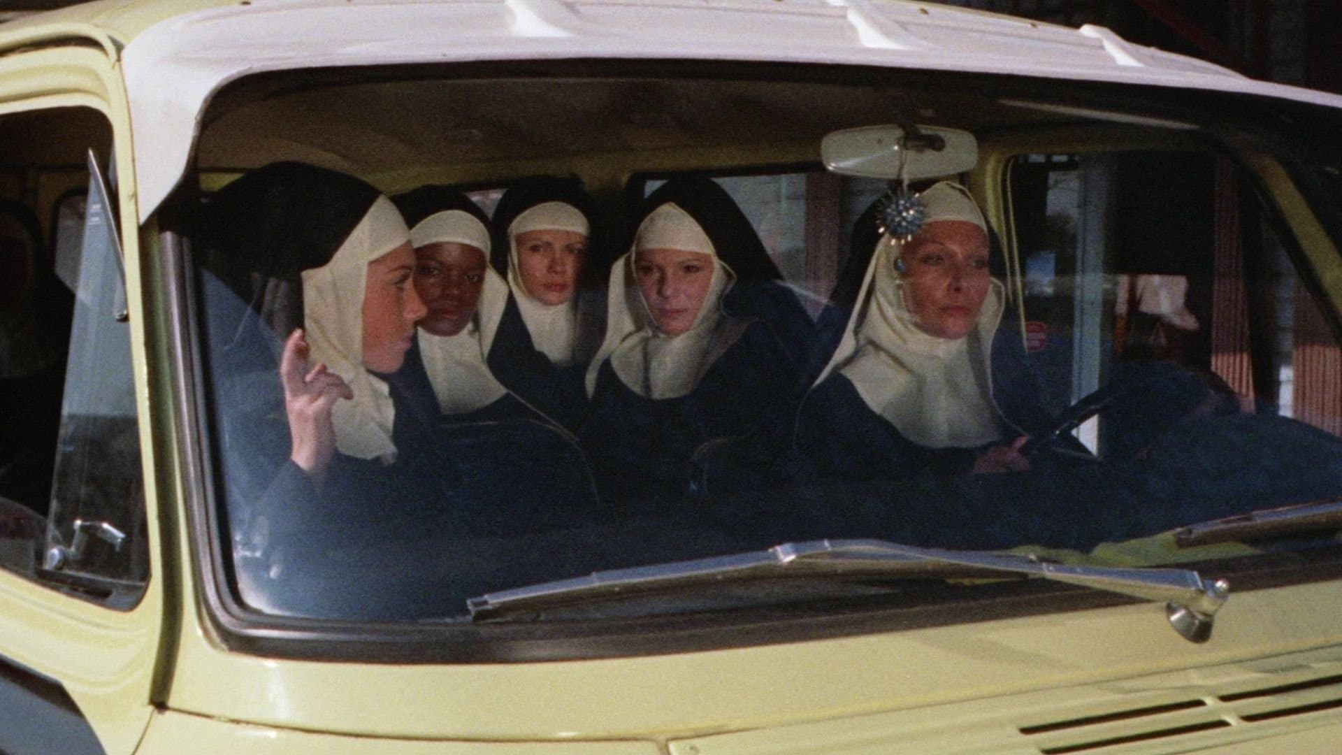 Ich, die Nonne und die Schweinehunde