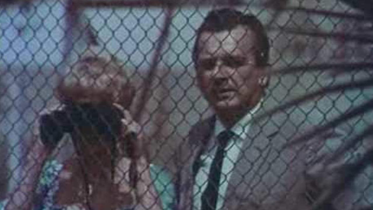 Carrera - Das Geheimnis der blonden Katze