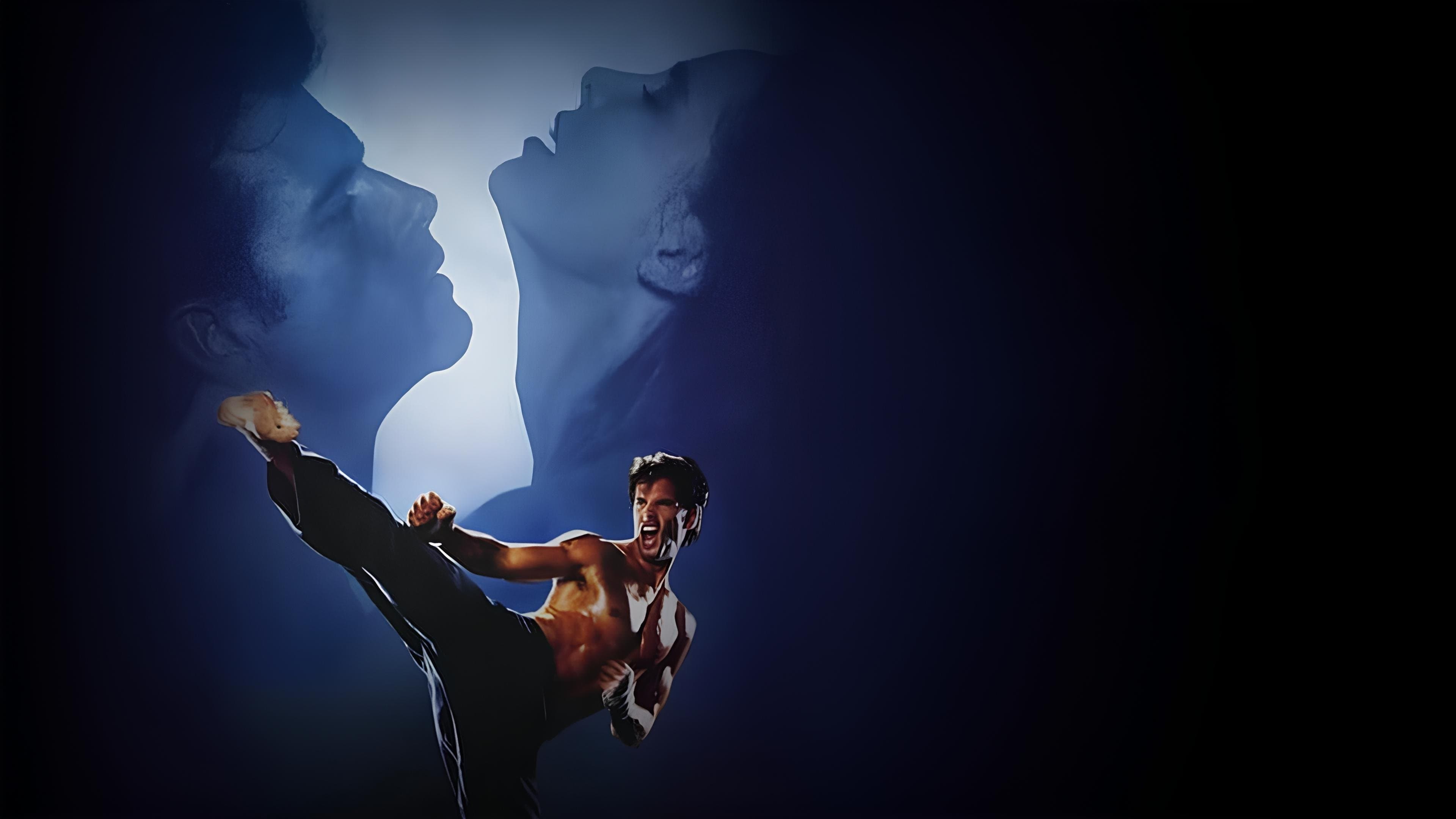 Kickboxer USA - Die Nacht des Fighters