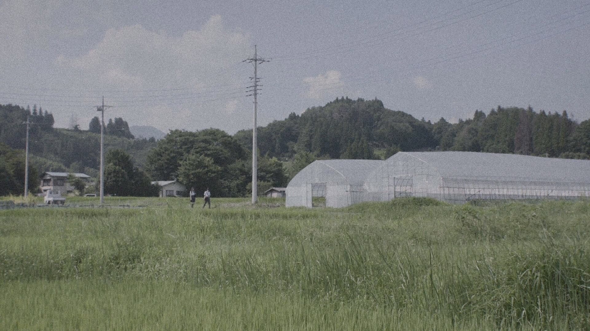 正しいバスの見分けかた