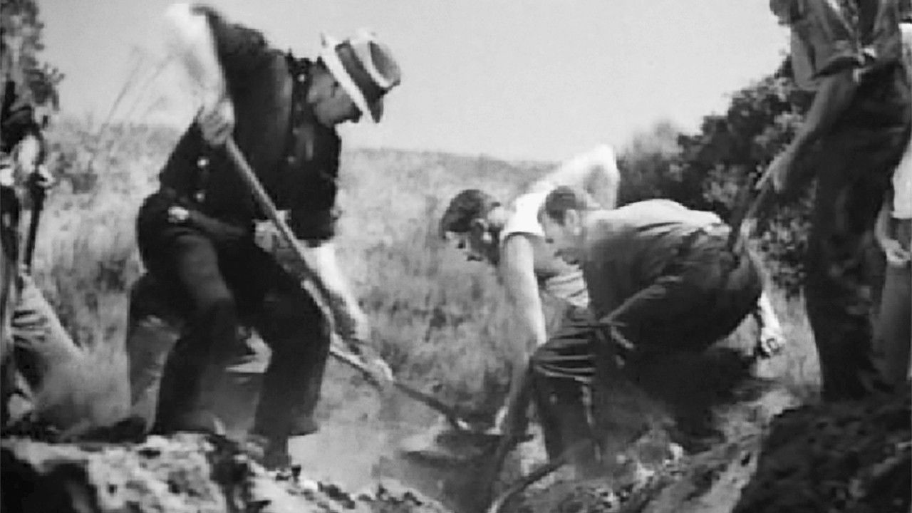 Unser tägliches Brot