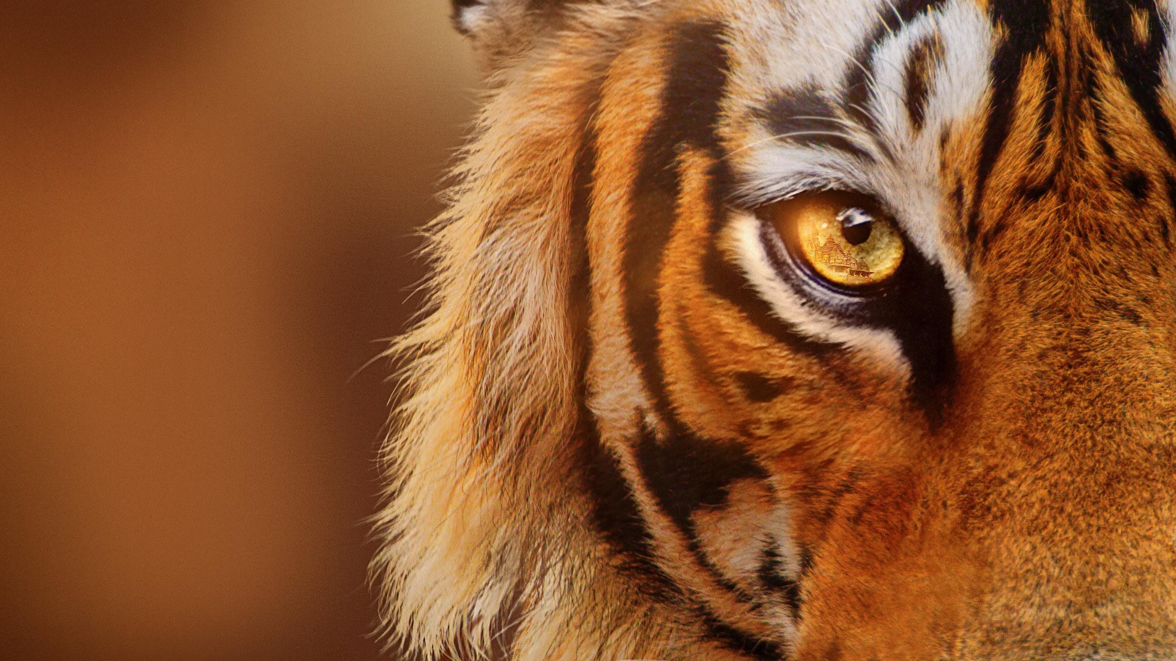 Tiger auf dem Vormarsch