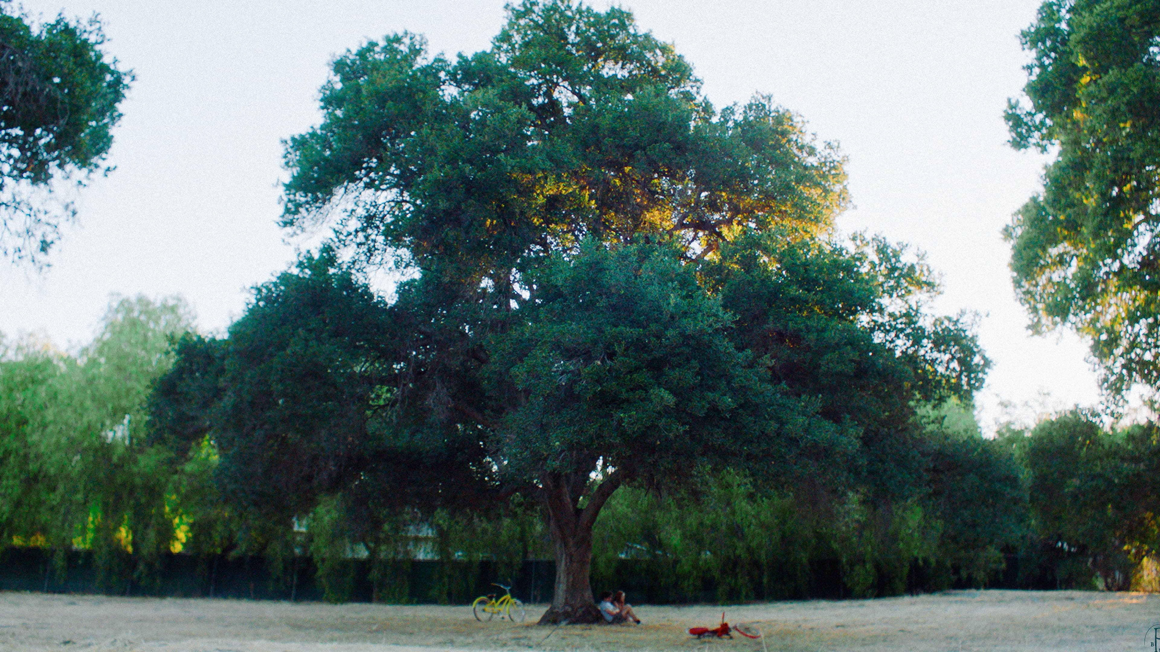 Pareidolia in B Minor