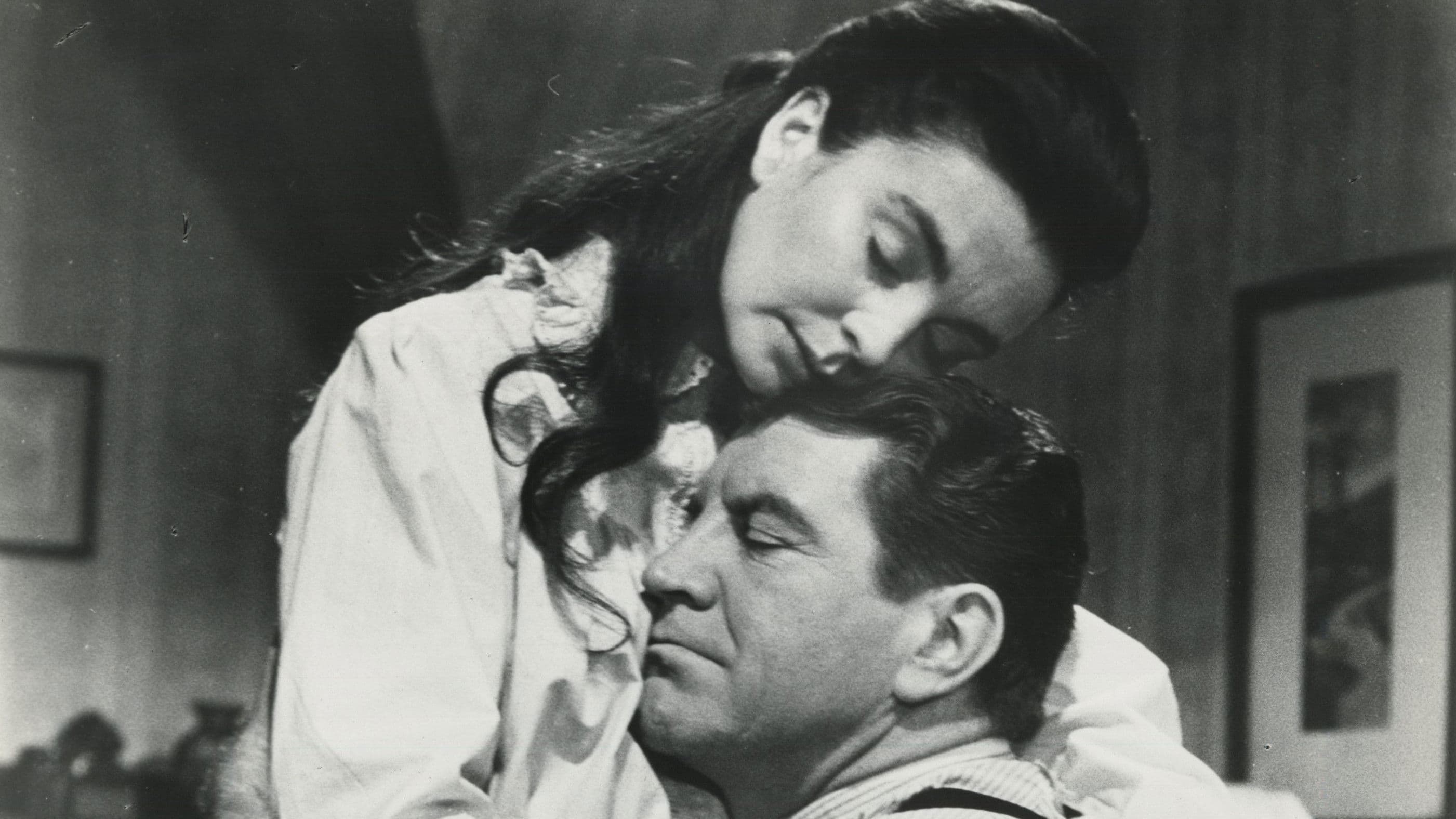 Ein Schmetterling flog auf