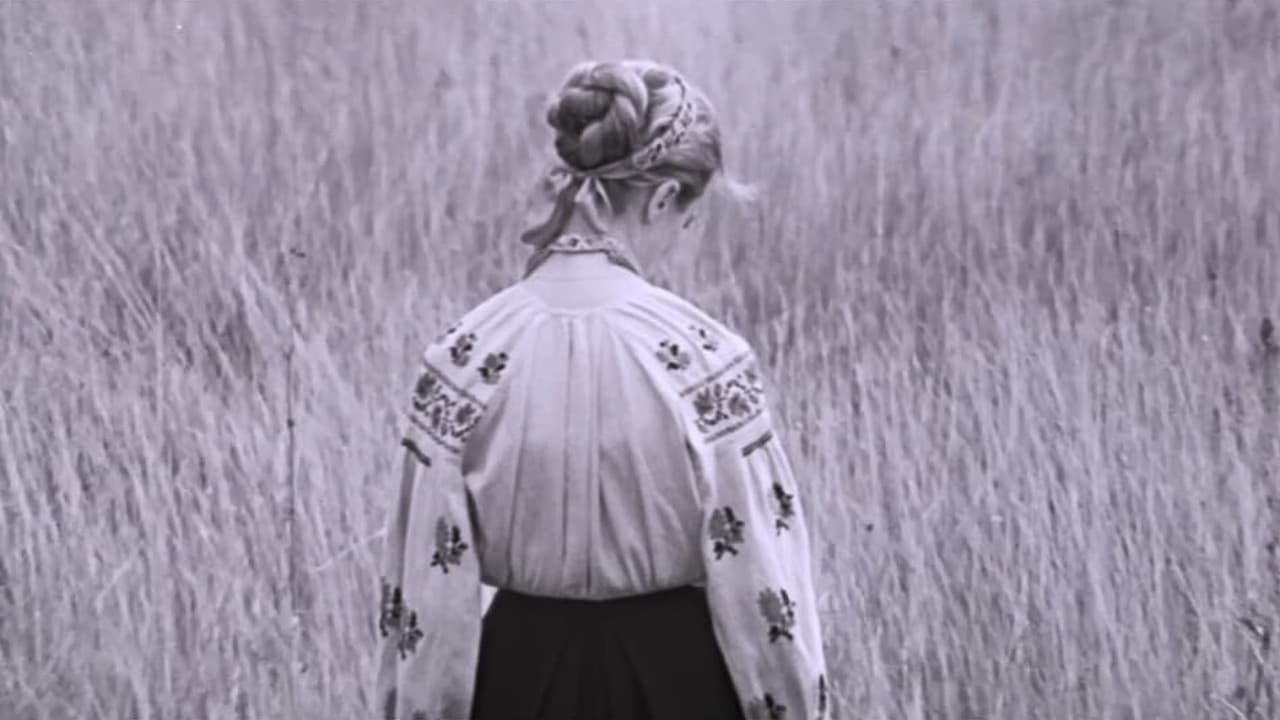 Иду к тебе...