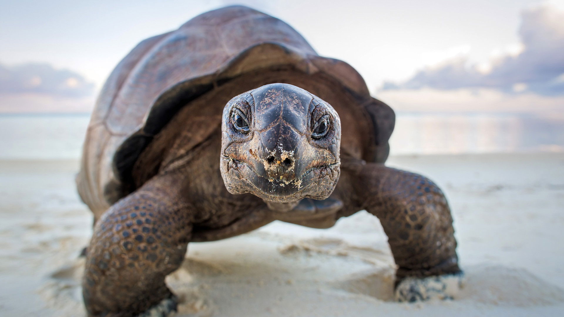 Ein perfekter Planet