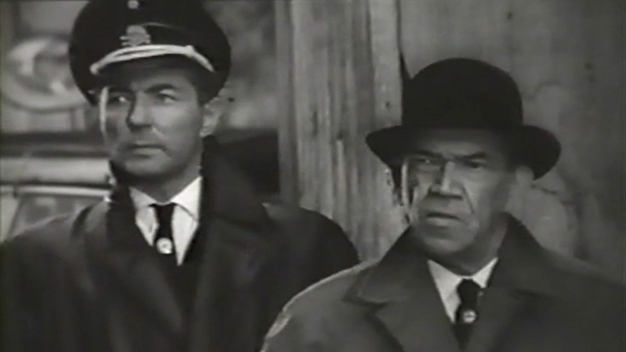 В 26-го не стрелять