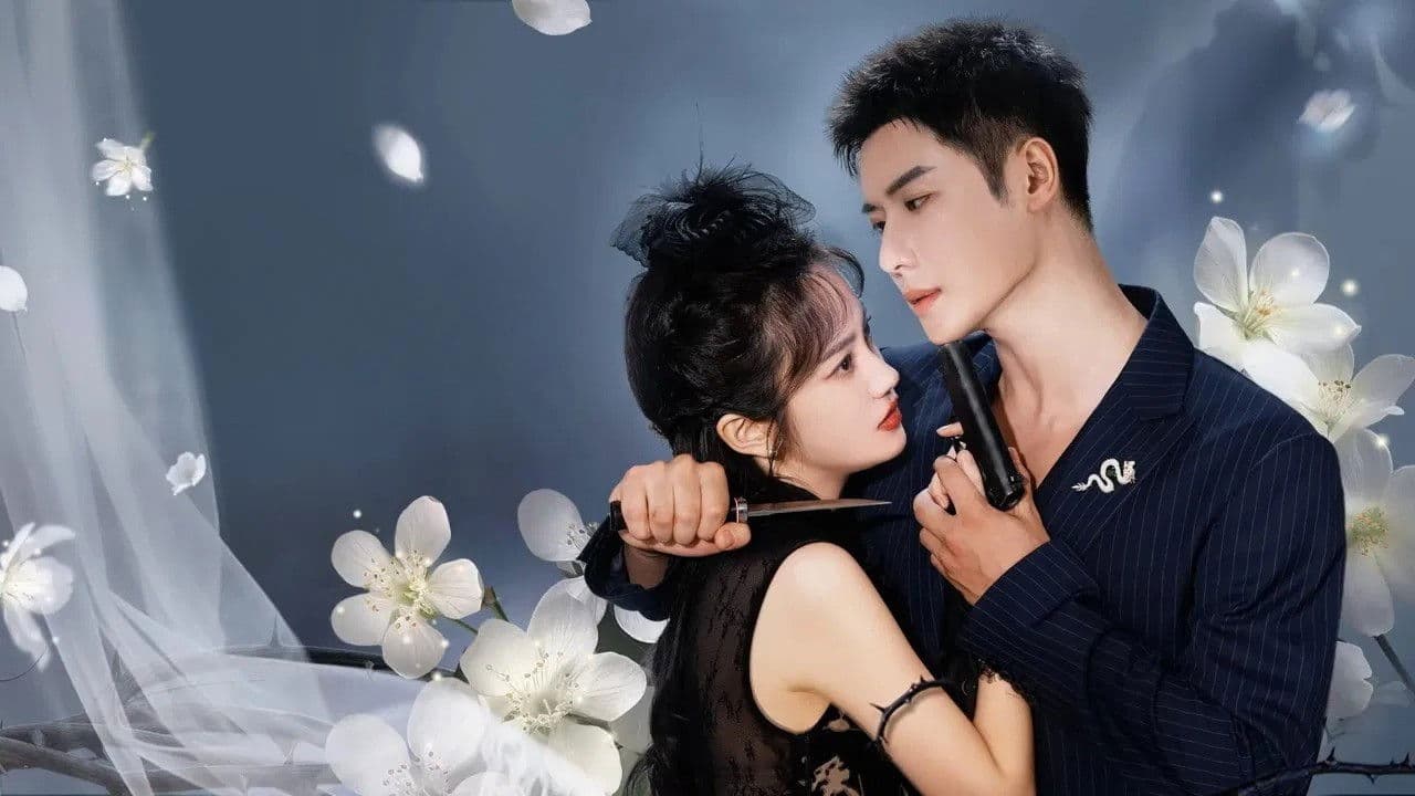 一树梨花一轻舟