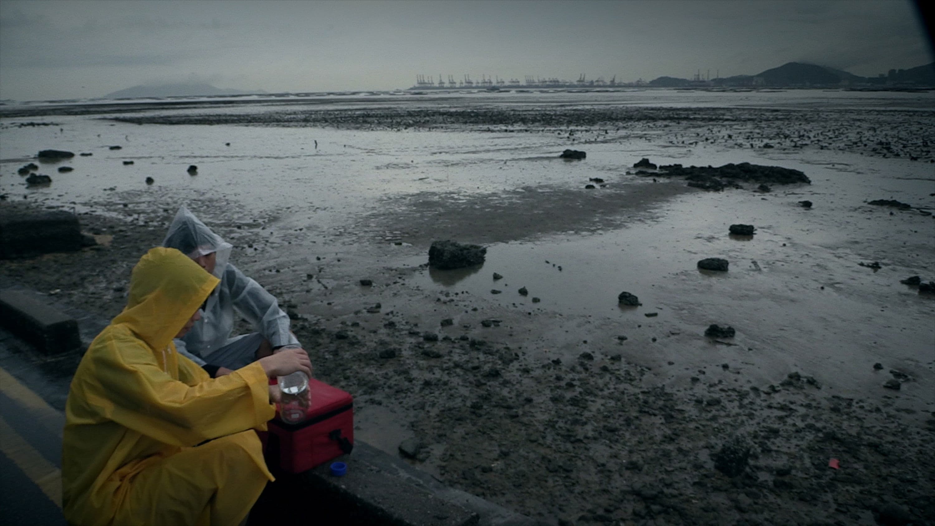 作為雨水：表象及意志